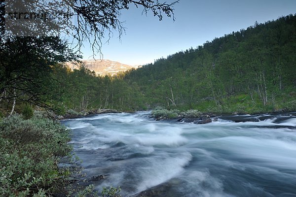 Eine rasche in einer Berglandschaft