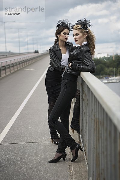 Schöne junge Frauen posieren  Schweden.
