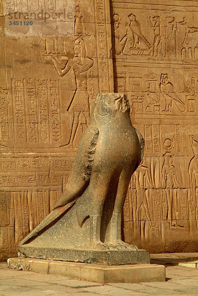 Skulptur am Horus Tempel  Edfu  Ägypten
