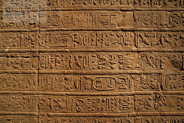 Hieroglyphen an einer Wand  Horus Tempel  Edfu  Ägypten  Detail