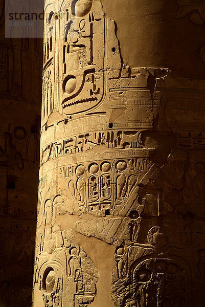 Relief auf einer Säule  Amun-Re-Tempel  Karnak  Ägypten  Detail