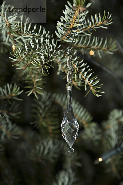 Ein Kristall-Eiszapfen-Ornament  das an einem Ast hängt.