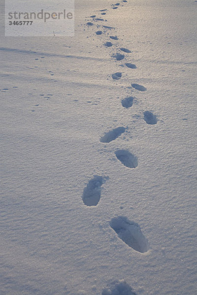 Fußspuren im Schnee