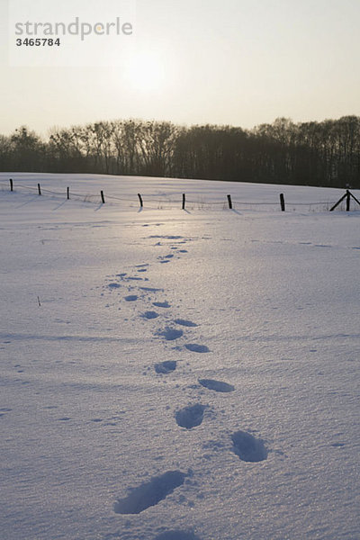 Fußspuren im Schnee