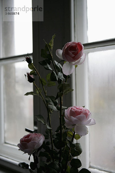 Ein Rosenstrauß neben einem Fenster