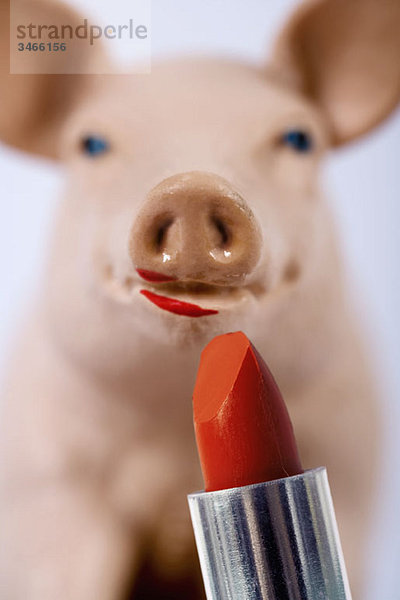 Lippenstift am Schwein