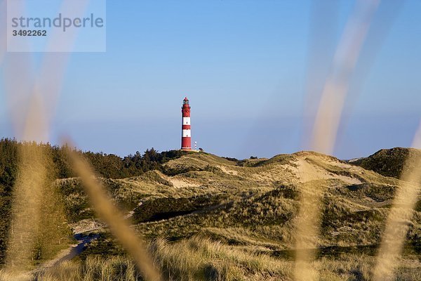 Leuchtturm auf Amrum  Schleswig-Holstein  Deutschland