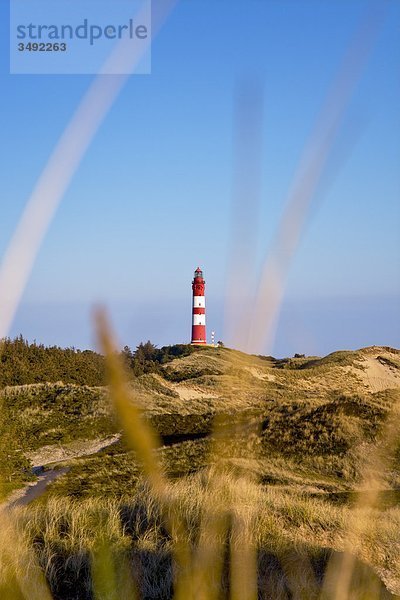 Leuchtturm auf Amrum  Schleswig-Holstein  Deutschland
