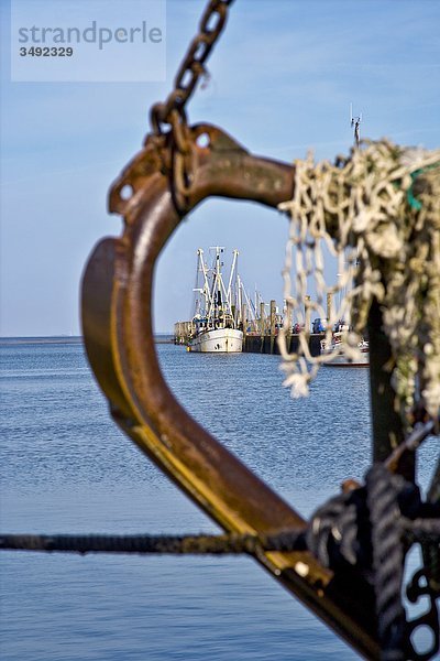 Blick auf den Alten Hafen in Tammensiel  Schiff im Vordergrund  Pellworm  Schleswig-Holstein  Deutschland