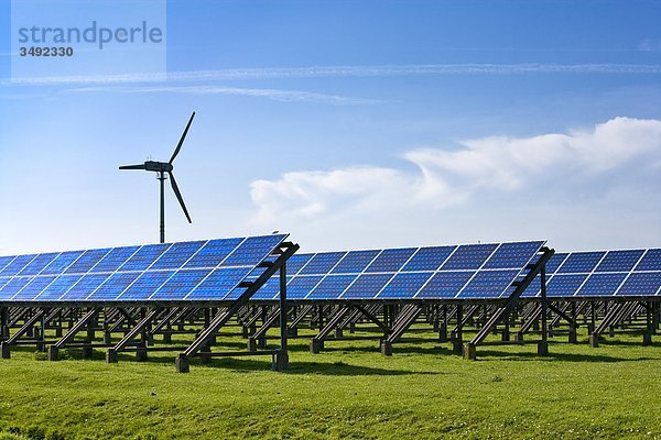 Sonnenkollektoren und Windrad in Pellworm  Nordfriesische Inseln  Deutschland