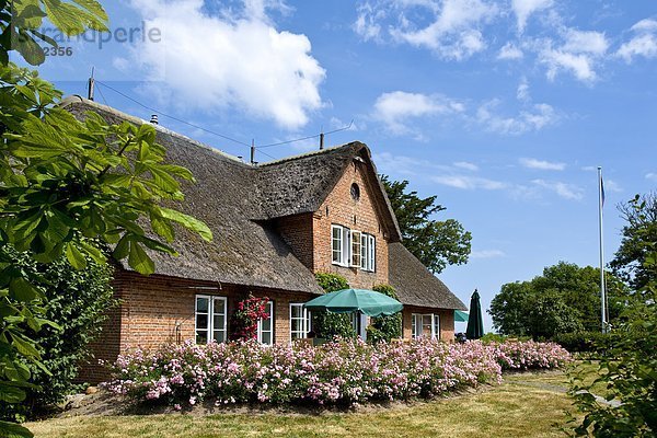 Friesenhaus in Keitum  Sylt  Deutschland