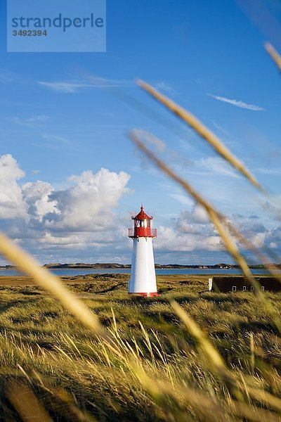 Leuchtturm List-West  Ellenbogen  Sylt  Deutschland