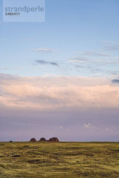 Landschaft am Ellenbogen  Reetdachhäuser im Hintergrund  Sylt  Deutschland