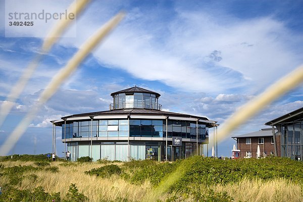 Sylt Quelle  Rantum  Sylt  Schleswig-Holstein  Deutschland  Flachwinkelansicht