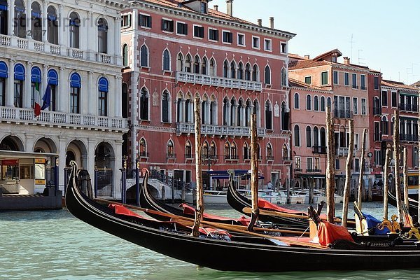 Gondeln auf dem Canale Grande  Venedig  Italien  Europa