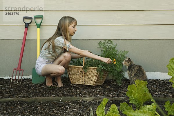 Junge Frau mit Katzenblume