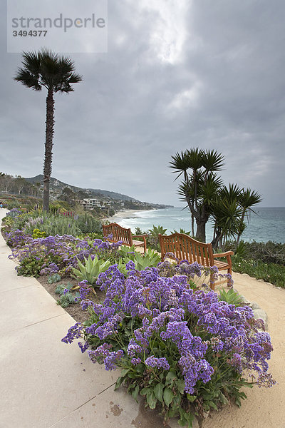 Blumen und Bänke an einem Weg  Kalifornien  USA  Erhöhte Ansicht