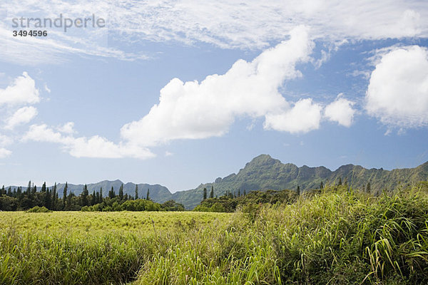 Berg-Szene in kauai