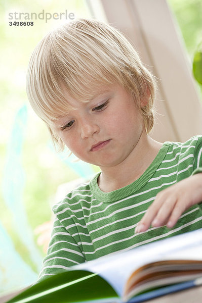 Junge schaut sich ein Buch an  Flachwinkelansicht