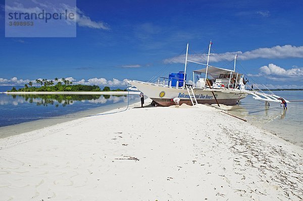 Philippinen  Bohol Island  Balicasag Island Reef