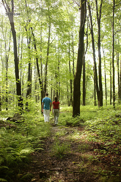 Paar geht in einem Wald spazieren  Rückansicht