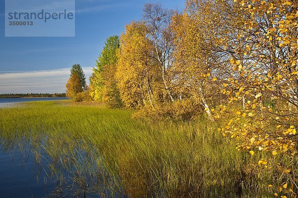 Lappland  Finnland  See Yllasjarvi im Herbst