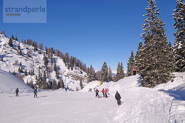 Andalo  Trentino Alto Adige  Italien