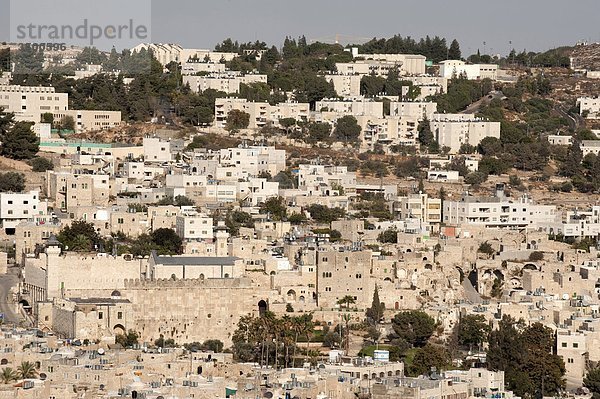 Israel  Westjordanland  Hebron  Stadtansicht