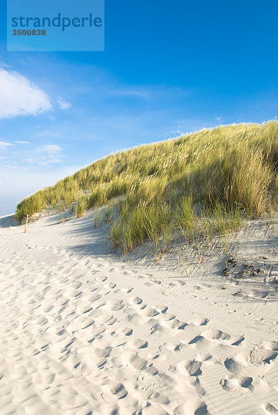 Strand und Dünen auf Wangerooge  Deutschland