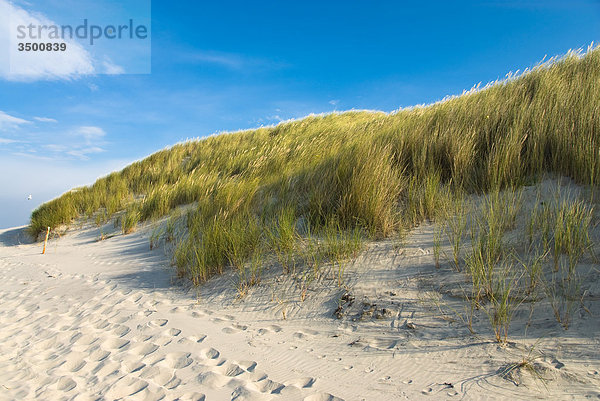 Strand und Dünen auf Wangerooge  Deutschland