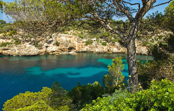 Bucht von Cala Pi  Mallorca