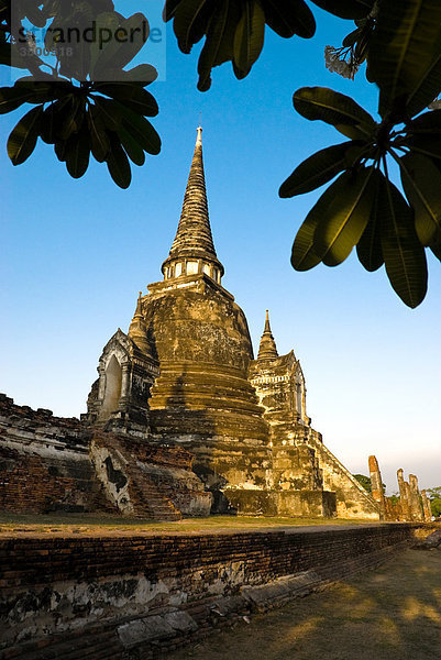 Tempel Wat Phra Si Sanphet  Ayuthaya  Thailand