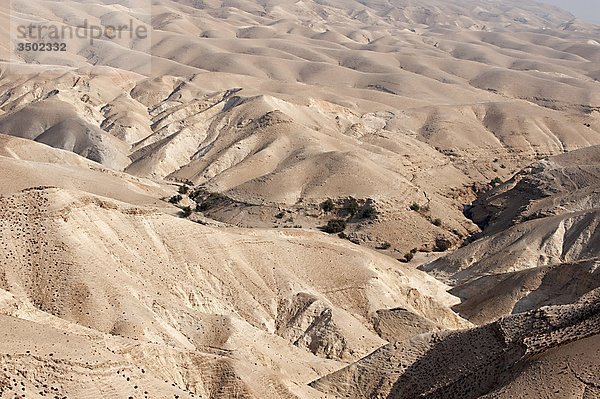 Westjordanland  Wadi Qelt  der Wüste zwischen Jerusalem und Jericho