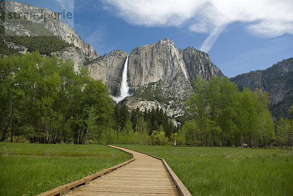 Yosemite Falls zusammenstoßen Talboden und Gehweg in Richtung Fluss  Yosemite-Nationalpark  Kalifornien