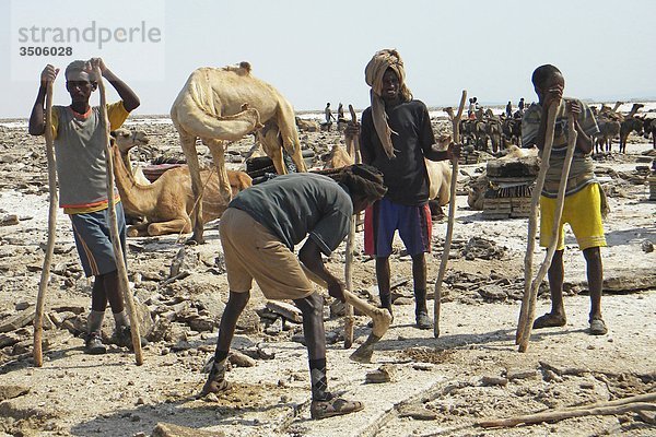 Afrika  Äthiopien  Danakil  Graben für Salz