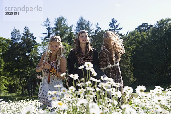 Drei junge Frauen pflücken Blumen in Wiese