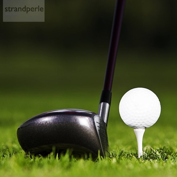 Golf Club und Golfball  Nahaufnahme  Schweden