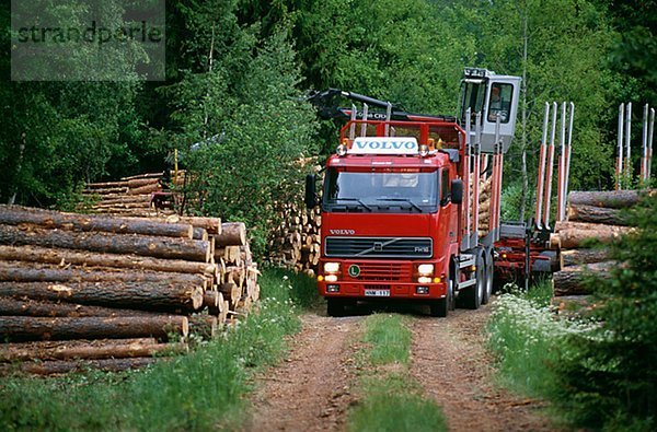 tragen Lastkraftwagen Ansicht Holz
