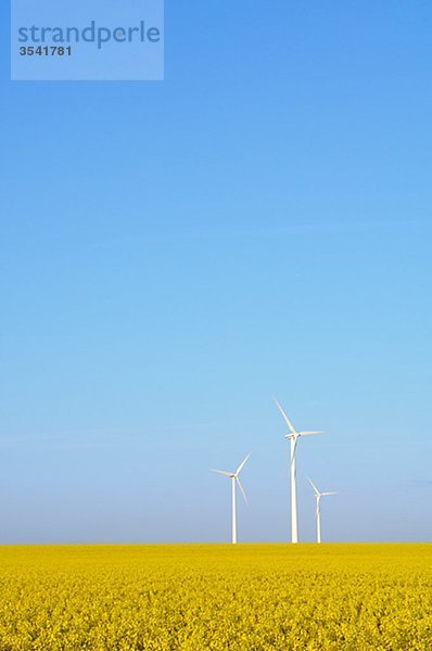 Skandinavien  Schweden  Östergötlands  Windmühle in Vergewaltigung Felder