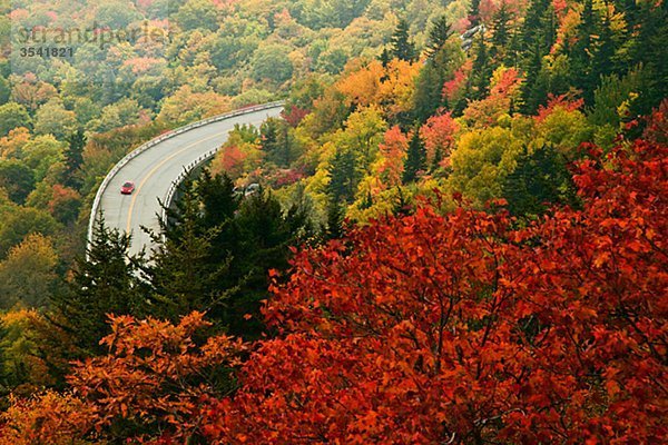 Nordamerika  USA  North Carolina  Blick Road vorbei Blue Ridge Parkway  elevated view