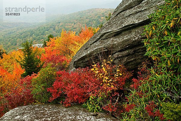 Nordamerika  USA  North Carolina  Blick auf Felsformation im Herbst  elevated view