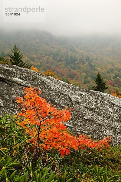 Nordamerika  USA  North Carolina  Blick auf Felsformation im Herbst  elevated view