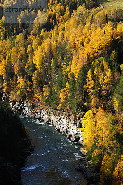 Skandinavien  Norwegen  Ansicht des river