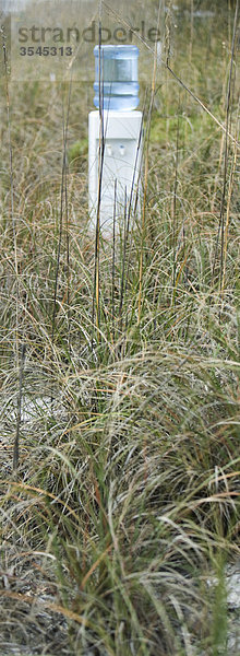 Wasserkühler im trockenen Grasfeld