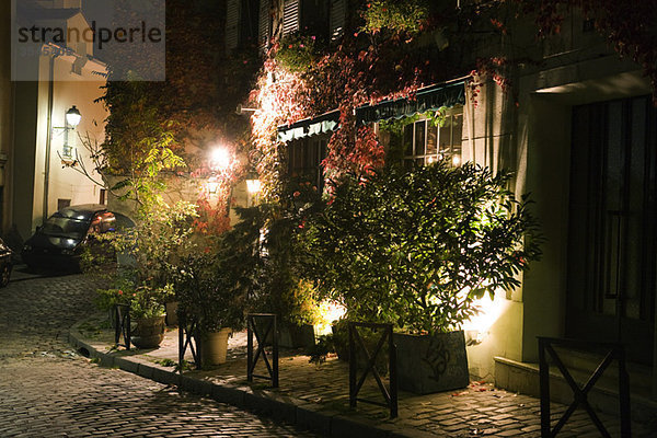 Topfpflanzen auf dem Bürgersteig bei Nacht  Paris  Frankreich