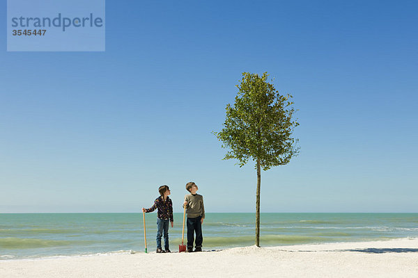 Kinder stehen mit Schaufeln neben einem am Strand gepflanzten Baum.