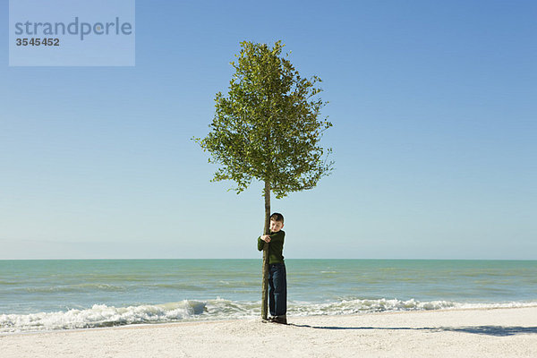Junge umarmender Baum  der am Strand wächst