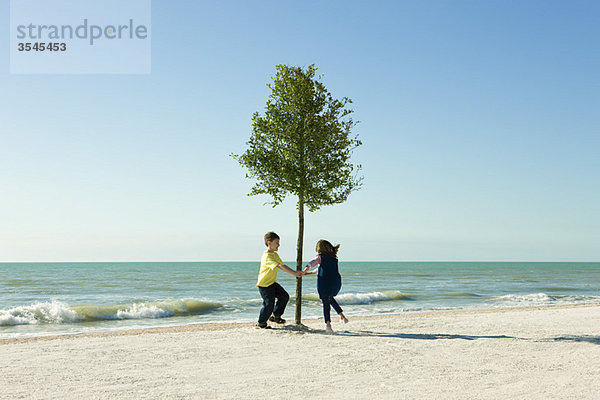 Kinder tanzen um einen Baum  der am Strand wächst.