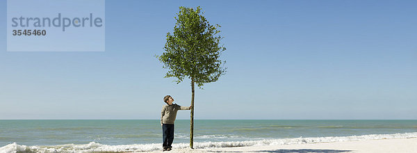 Junge bewundert Baum wachsen am Strand