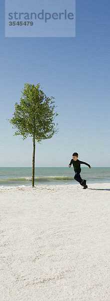 Junge rennt um den Baum und wächst am Strand.